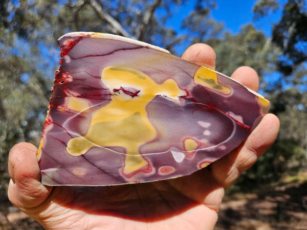 Polished  Mookaite slab MK569