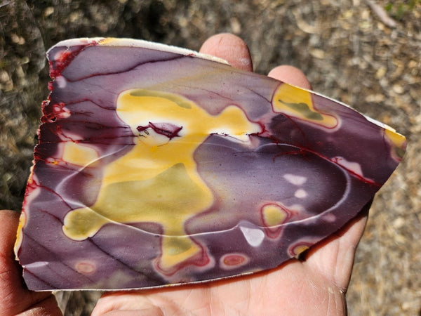 Polished  Mookaite slab MK569
