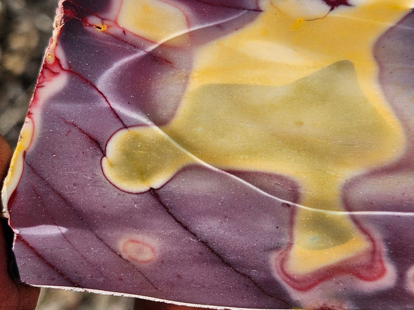 Polished  Mookaite slab MK569