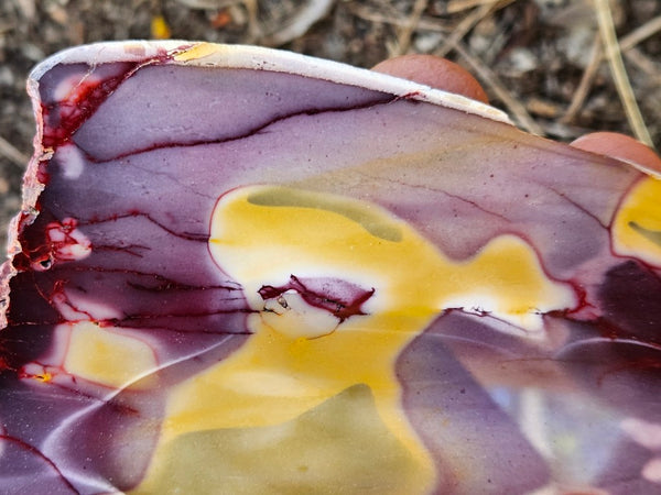 Polished  Mookaite slab MK569