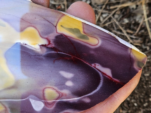 Polished  Mookaite slab MK569