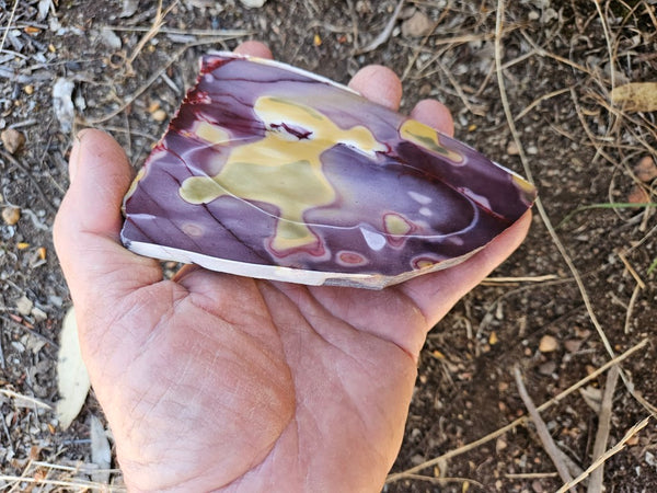 Polished  Mookaite slab MK569