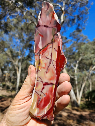 Polished  Mookaite slab MK570