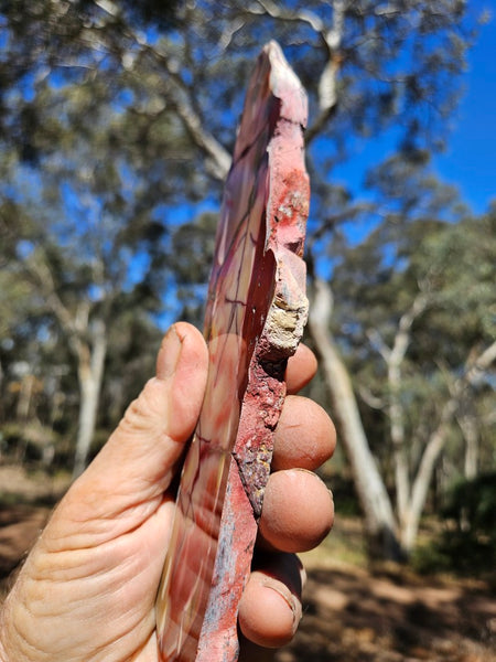Polished  Mookaite slab MK570