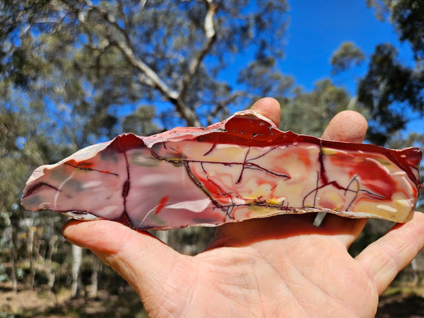 Polished  Mookaite slab MK570