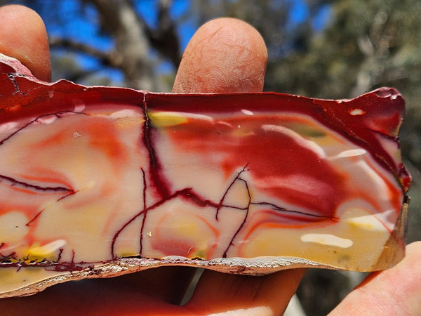 Polished  Mookaite slab MK570
