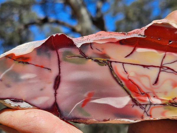 Polished  Mookaite slab MK570