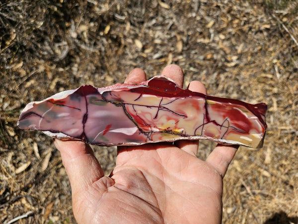 Polished  Mookaite slab MK570