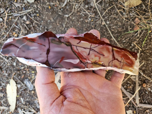 Polished  Mookaite slab MK570