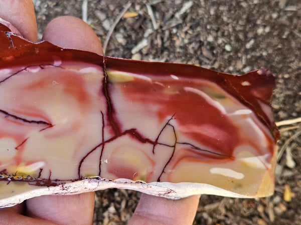 Polished  Mookaite slab MK570