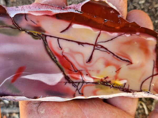 Polished  Mookaite slab MK570
