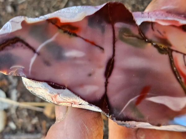 Polished  Mookaite slab MK570