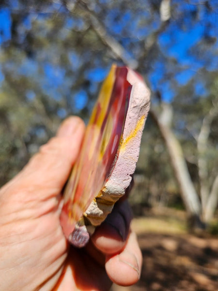 Polished  Mookaite slab MK571