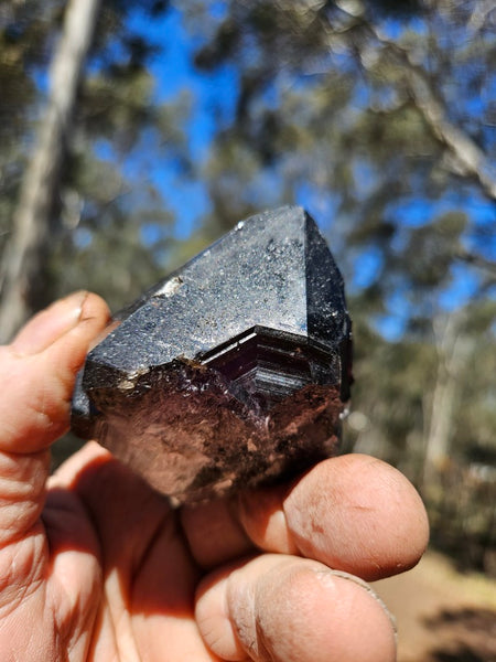 Wyloo Amethyst crystal . AM152