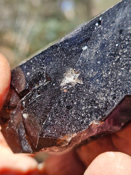 Wyloo Amethyst crystal . AM152