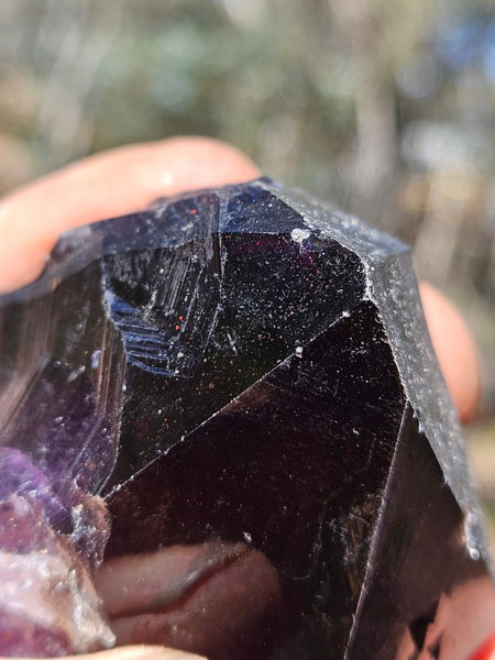 Wyloo Amethyst crystal . AM152