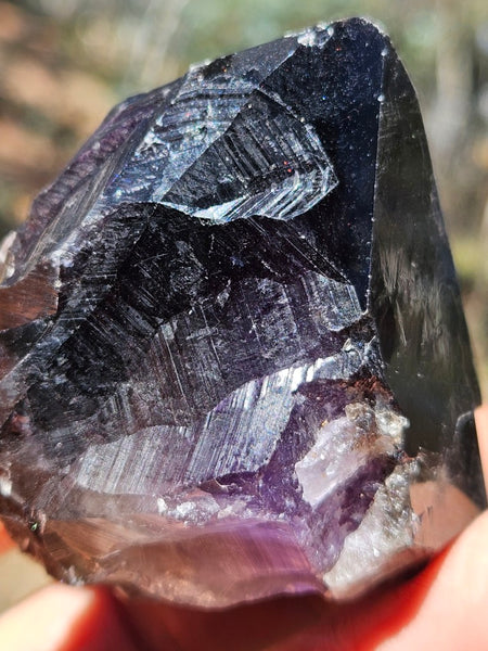 Wyloo Amethyst crystal . AM152