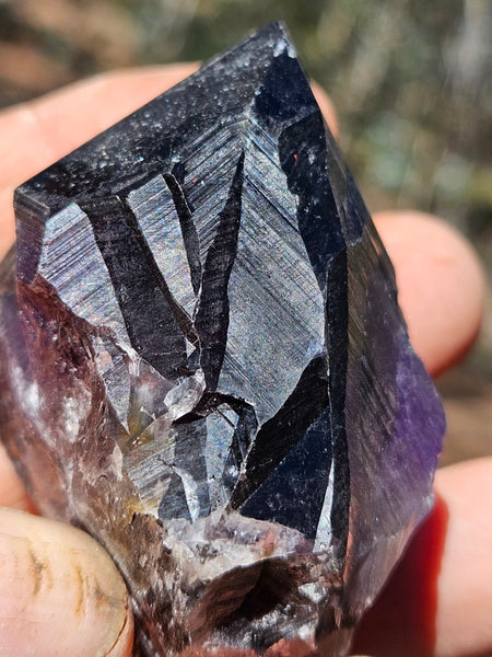 Wyloo Amethyst crystal . AM152