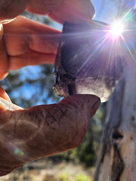 Wyloo Amethyst crystal . AM152