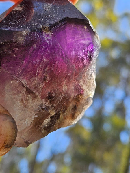 Wyloo Amethyst crystal . AM152