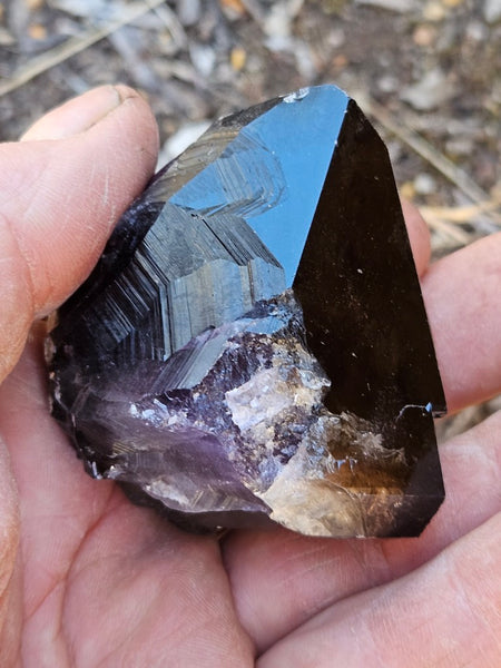 Wyloo Amethyst crystal . AM152