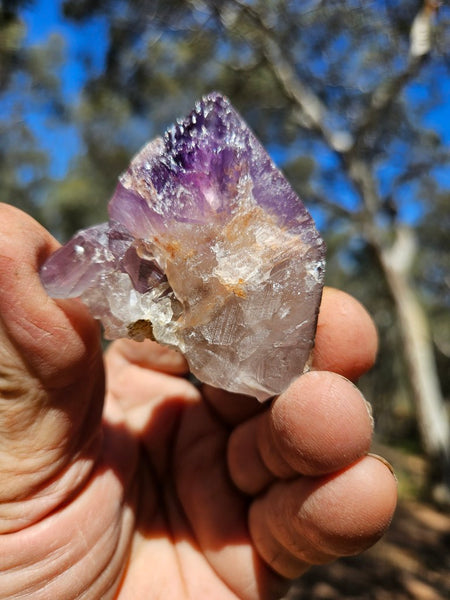 Wyloo Amethyst crystal . AM153