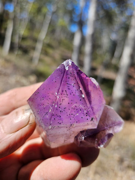 Wyloo Amethyst crystal . AM153