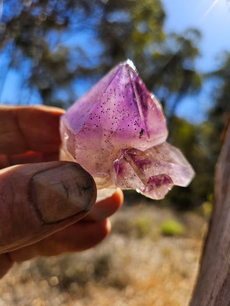 Wyloo Amethyst crystal . AM153