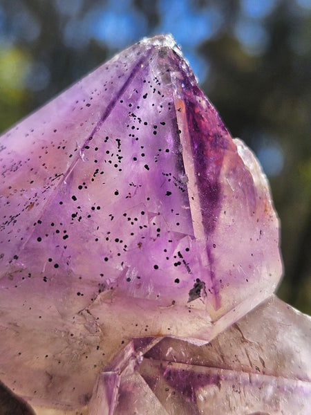 Wyloo Amethyst crystal . AM153