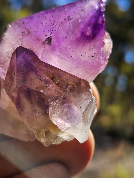 Wyloo Amethyst crystal . AM153