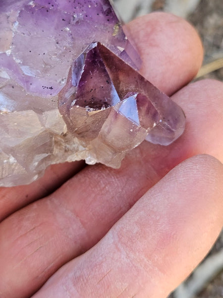 Wyloo Amethyst crystal . AM153