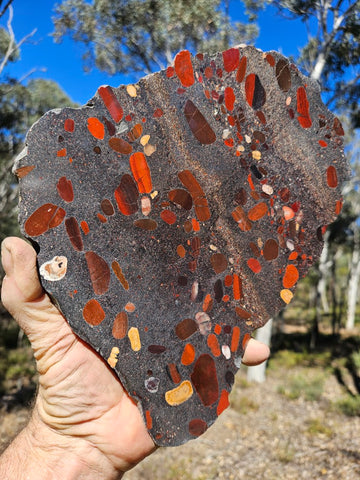Jelly Bean Jasper polished slab JBJ360