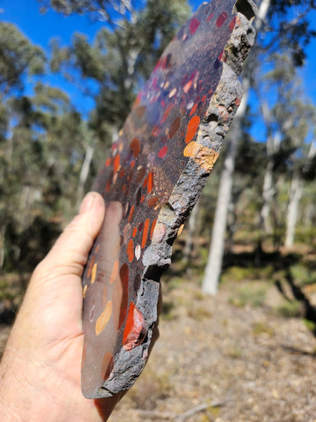 Jelly Bean Jasper polished slab JBJ360