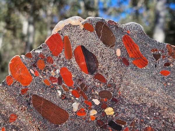 Jelly Bean Jasper polished slab JBJ360