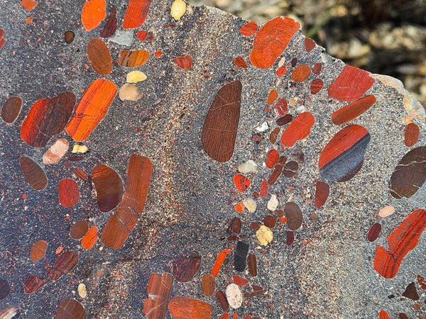 Jelly Bean Jasper polished slab JBJ360