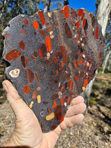 Jelly Bean Jasper polished slab JBJ360