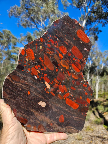 Jelly Bean Jasper polished slab JBJ361