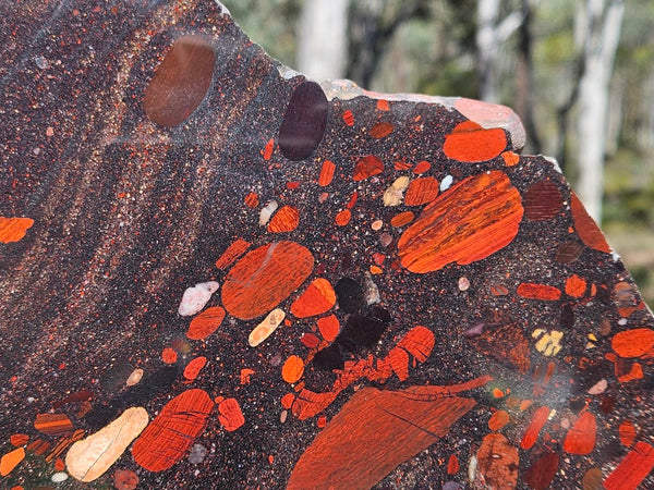 Jelly Bean Jasper polished slab JBJ361