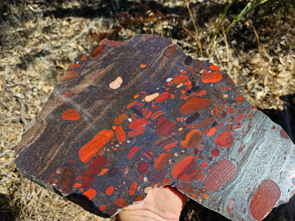 Jelly Bean Jasper polished slab JBJ361