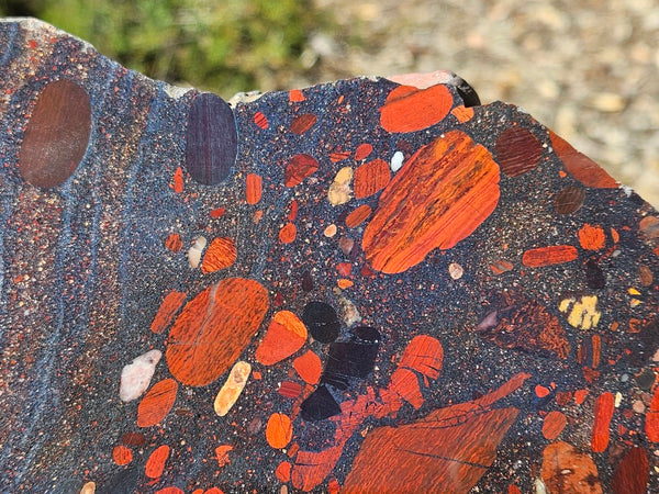 Jelly Bean Jasper polished slab JBJ361