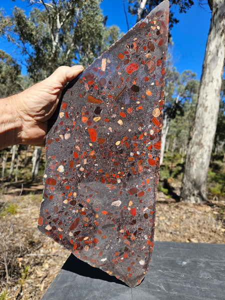 Jelly Bean Jasper polished slab JBJ362