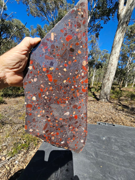 Jelly Bean Jasper polished slab JBJ362