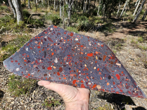 Jelly Bean Jasper polished slab JBJ362