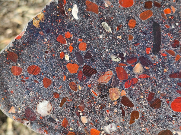 Jelly Bean Jasper polished slab JBJ362