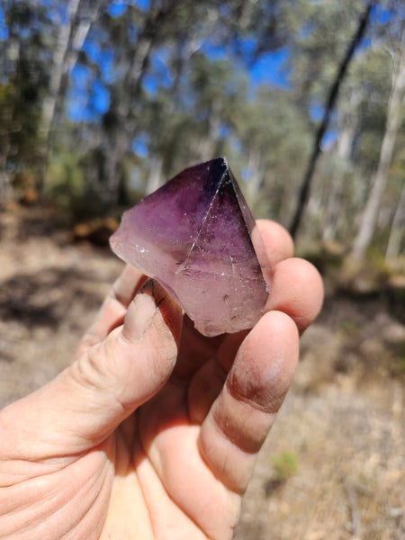 Wyloo Amethyst crystal . AM154