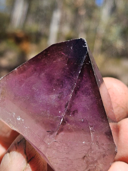 Wyloo Amethyst crystal . AM154