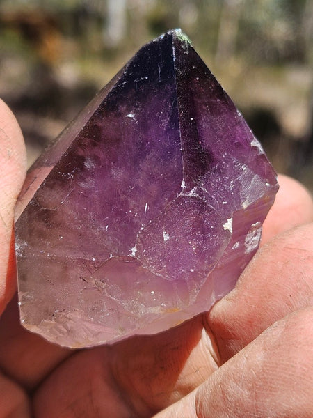 Wyloo Amethyst crystal . AM154