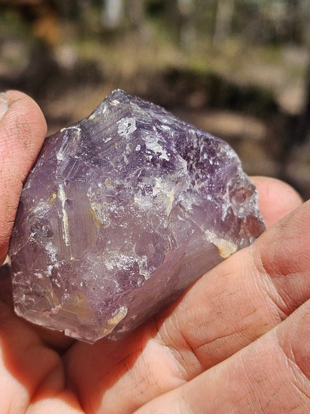 Wyloo Amethyst crystal . AM154