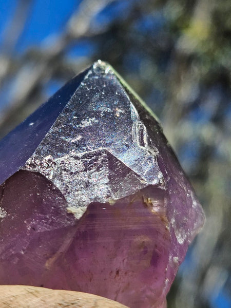 Wyloo Amethyst crystal . AM154