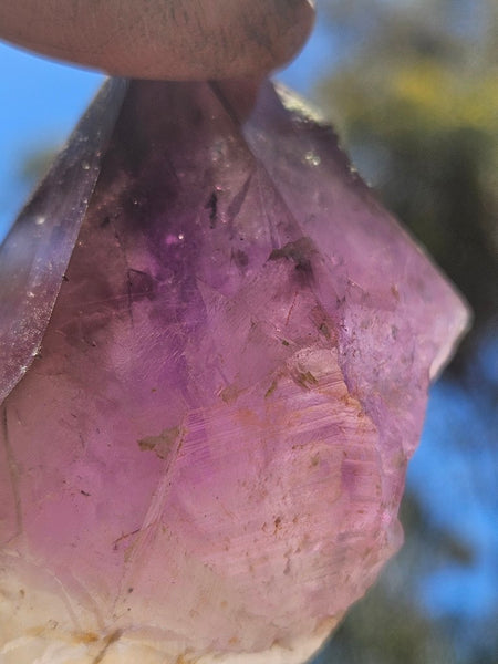 Wyloo Amethyst crystal . AM154